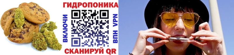 Еда ТГК марихуана  Курчалой 