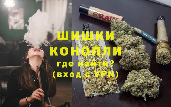 сатива Белокуриха