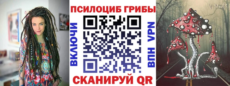 Галлюциногенные грибы GOLDEN TEACHER  Курчалой 